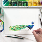 Watercolor Peacock Wall Art Print
