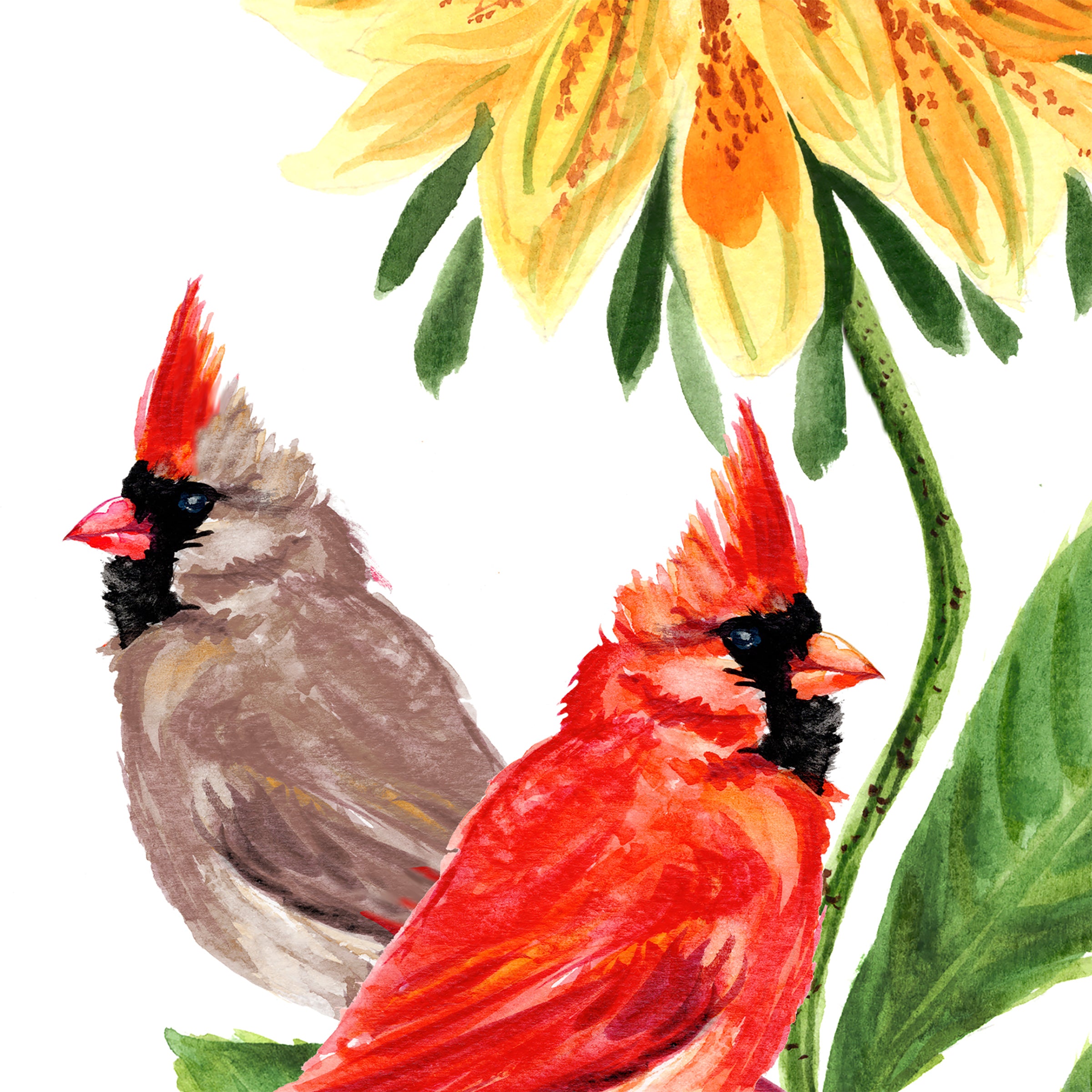 Mr. and Mrs. Cardinal Birds Watercolor Unframed Wall Art Print by Michelle Mospens