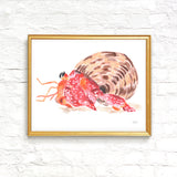 Sunny The Hermit Crab Art Print - Watercolor by Michelle Mospens