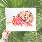 Sunny The Hermit Crab Art Print - Watercolor by Michelle Mospens