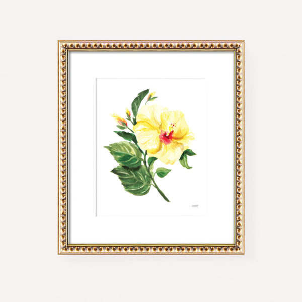 Hibiscus Botanical Watercolor Art Print